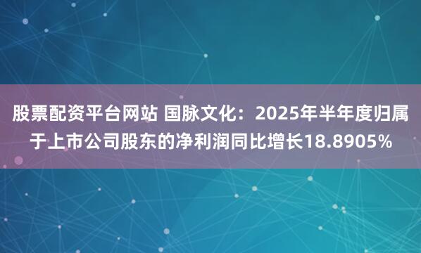股票配资平台网站 国脉文化：2025年半年度归属于上市公司股东的净利润同比增长18.8905%